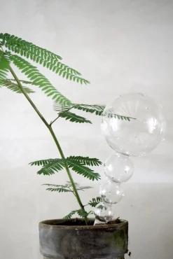 Selvvandingsglas, double dot