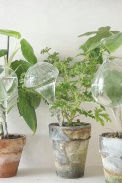 Selvvandingsglas, globe