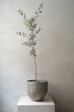 StineMei - Wood blue