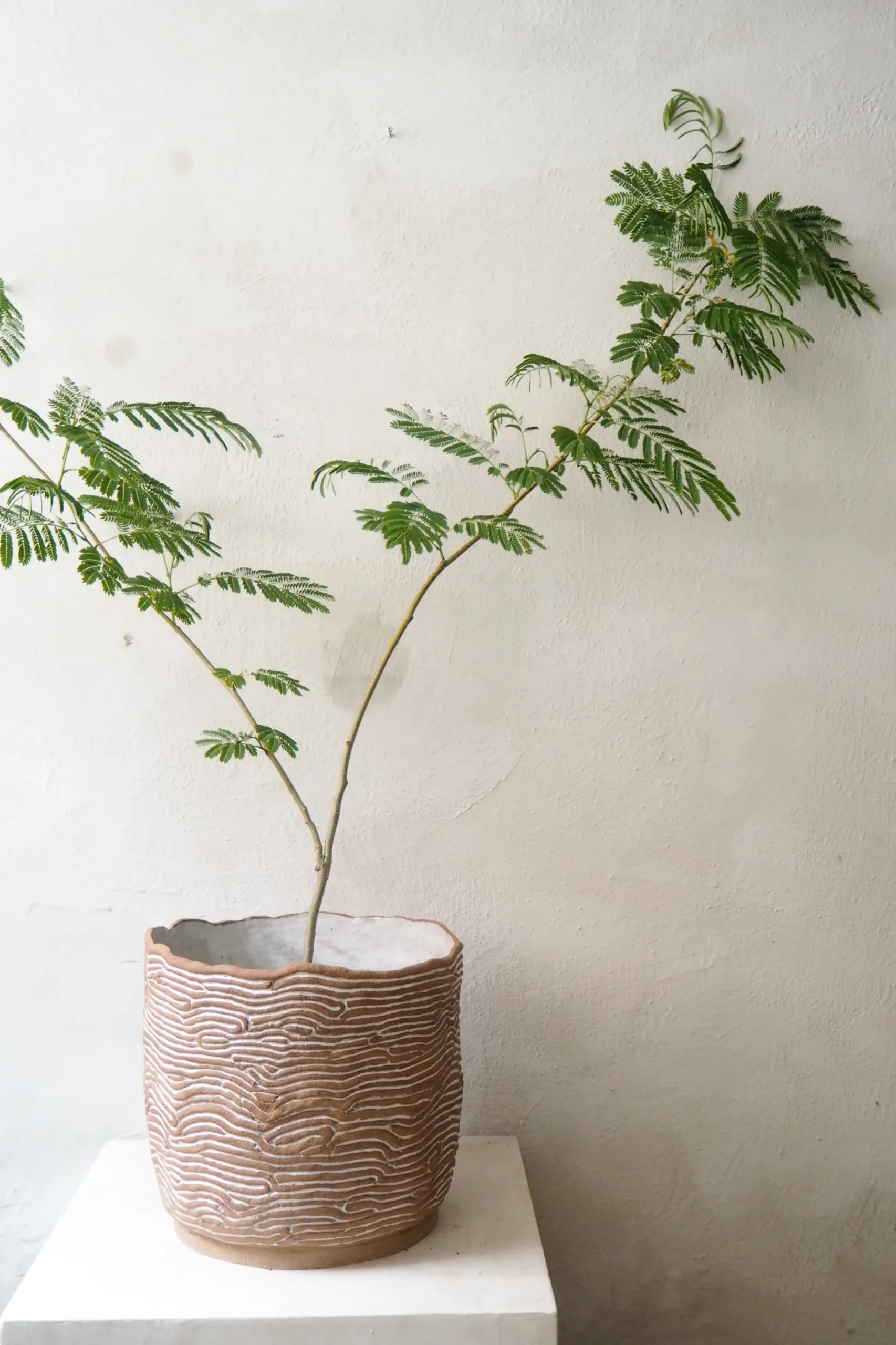 StineMei - Wood brown