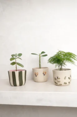 StineMei Plantekop - Stribet grøn