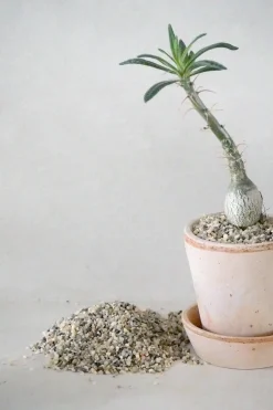 Topping sten - Natural