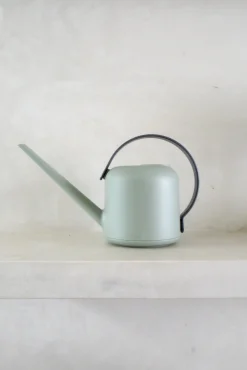 Vandkande, lysegrøn