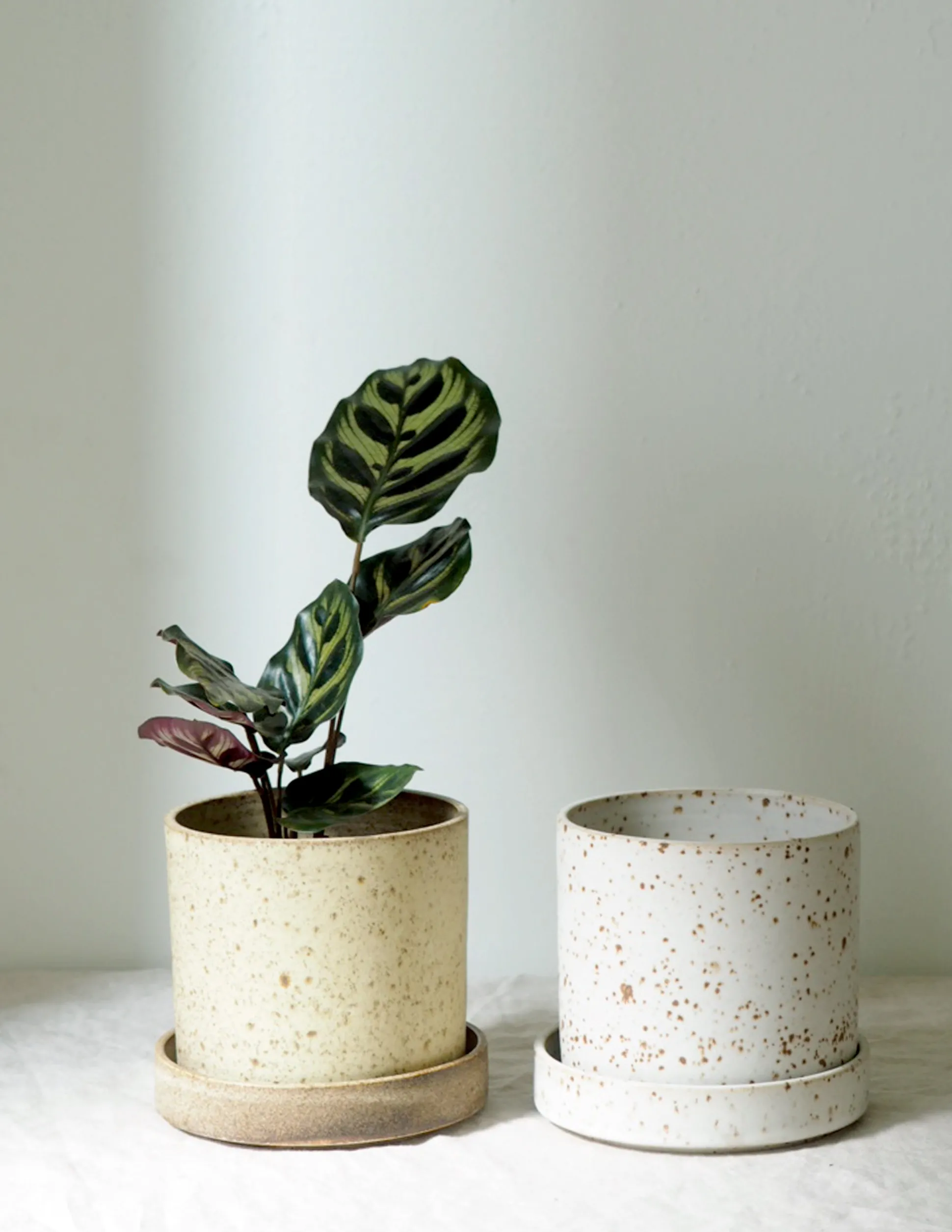 V.O krukke - hvid, large