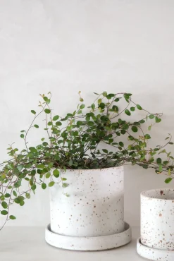 V.O krukke - hvid, small