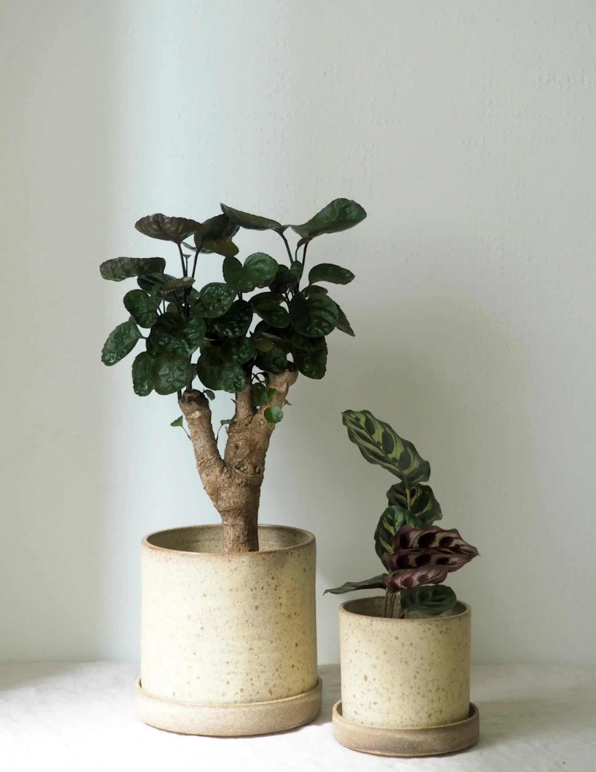 V.O krukke - sand, large