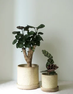 V.O krukke - sand, small